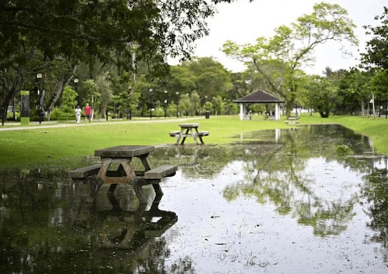 Inondation d’origine maritime sur East Coast en janvier 2024 (©Straits Times)