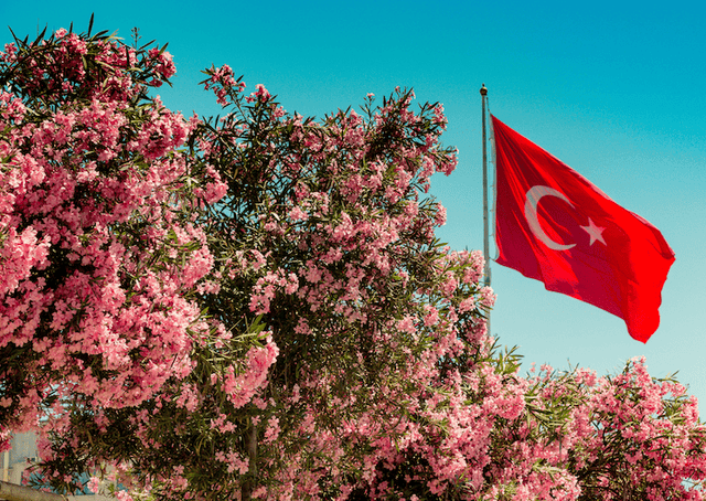 pause newsletter LPJ Istanbul mai juin 2026 Turquie drapeau turc fleurs printemps Kurban Bayramı