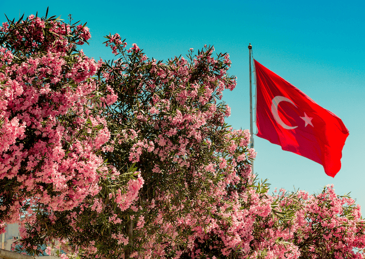 pause newsletter LPJ Istanbul mai juin 2026 Turquie drapeau turc fleurs printemps Kurban Bayramı