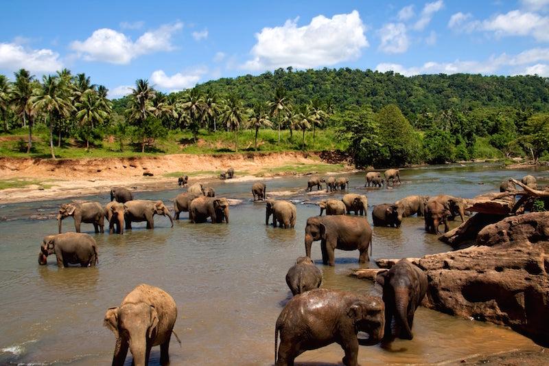 Sri Lanka 