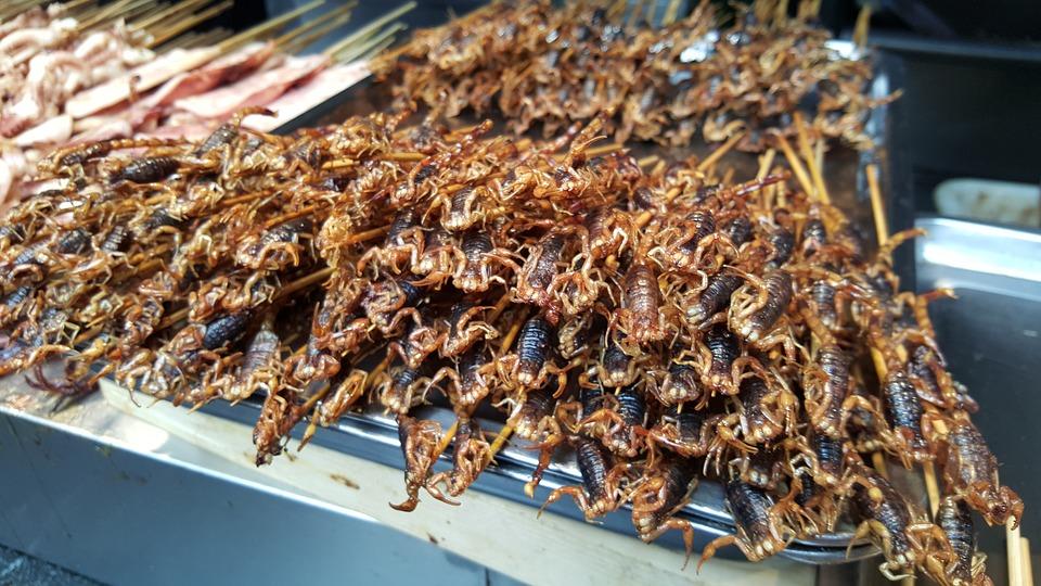 Le scorpion est en vogue dans les assiettes de Chine