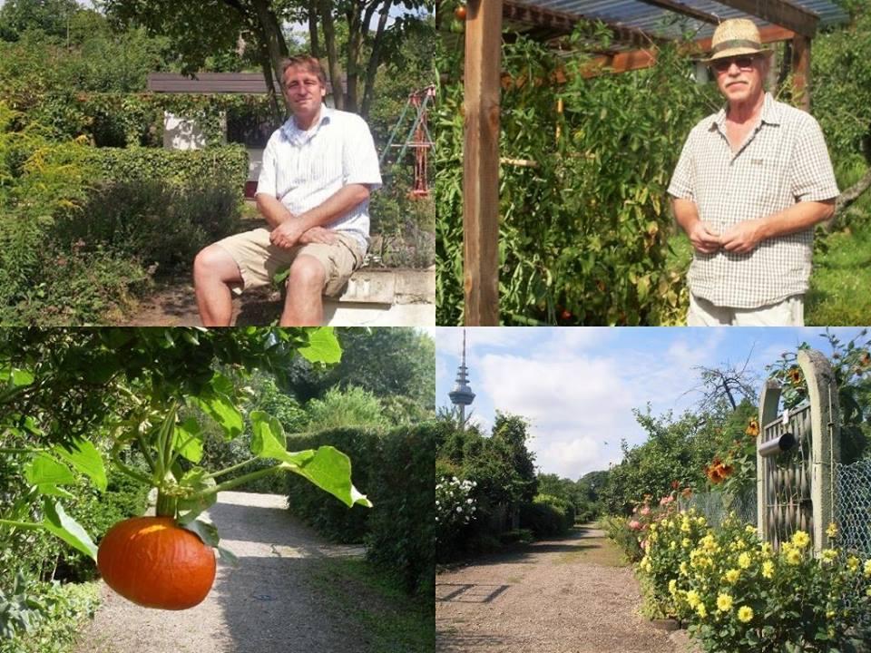 Cultiver jardin urbain Schrebergärten