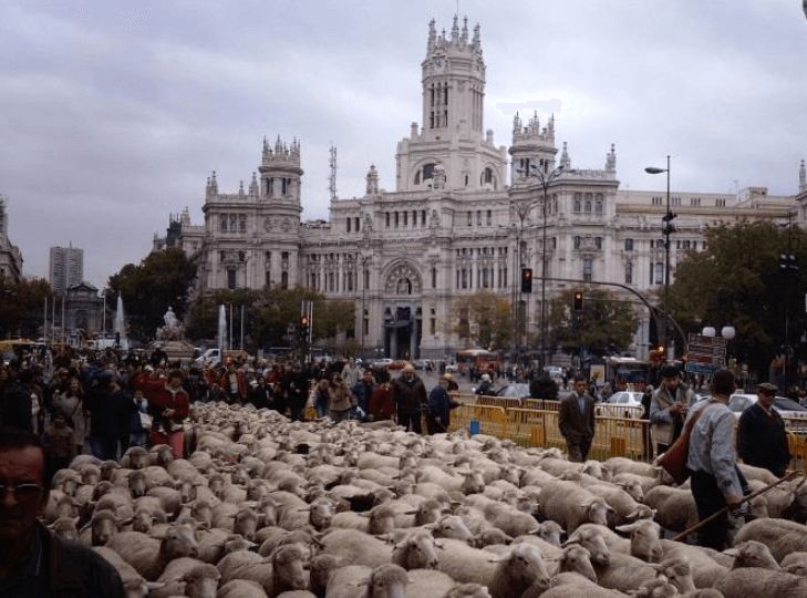 transhumance madrid