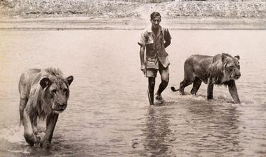 norman carr, safari, afrique, eco-tourisme, visionnaire, nature