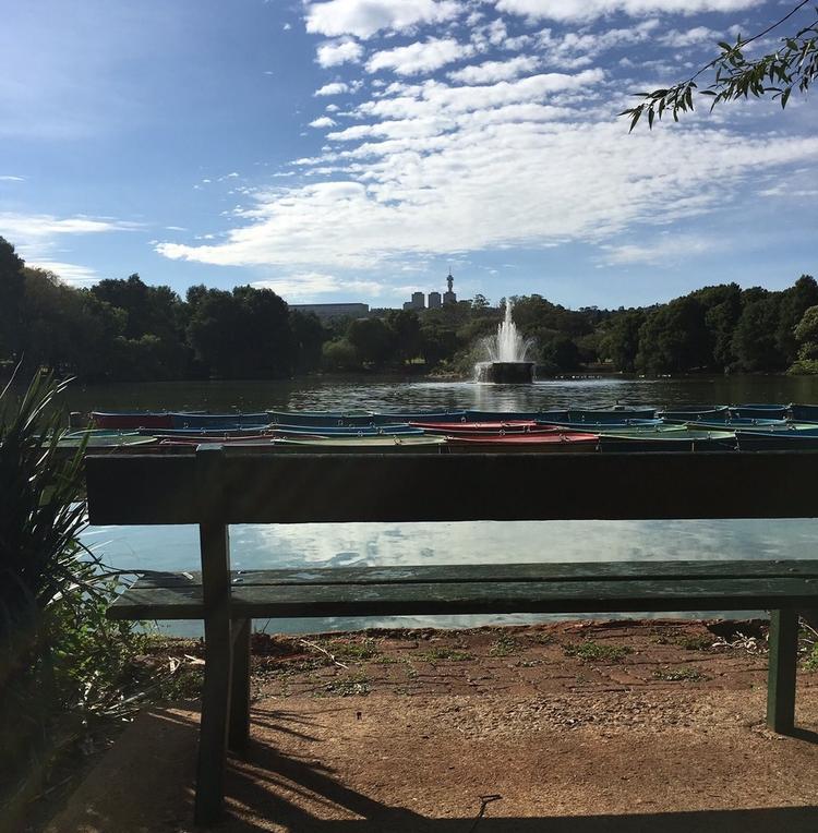 zoo lake, parkview, johannesburg, quartier, jena bourdin, isabelle leger, alliance française