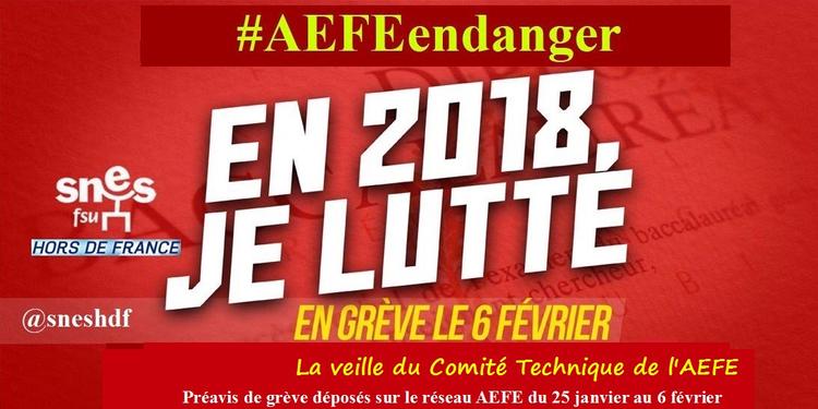 AEFE, enseignement français, expatriés, grève, mobilisation SNES-FSU