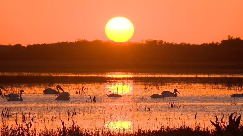 Delta du Danube