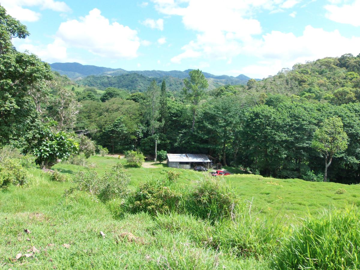 Nouvelle-Calédonie baux ruraux autosuffisance alimentaire