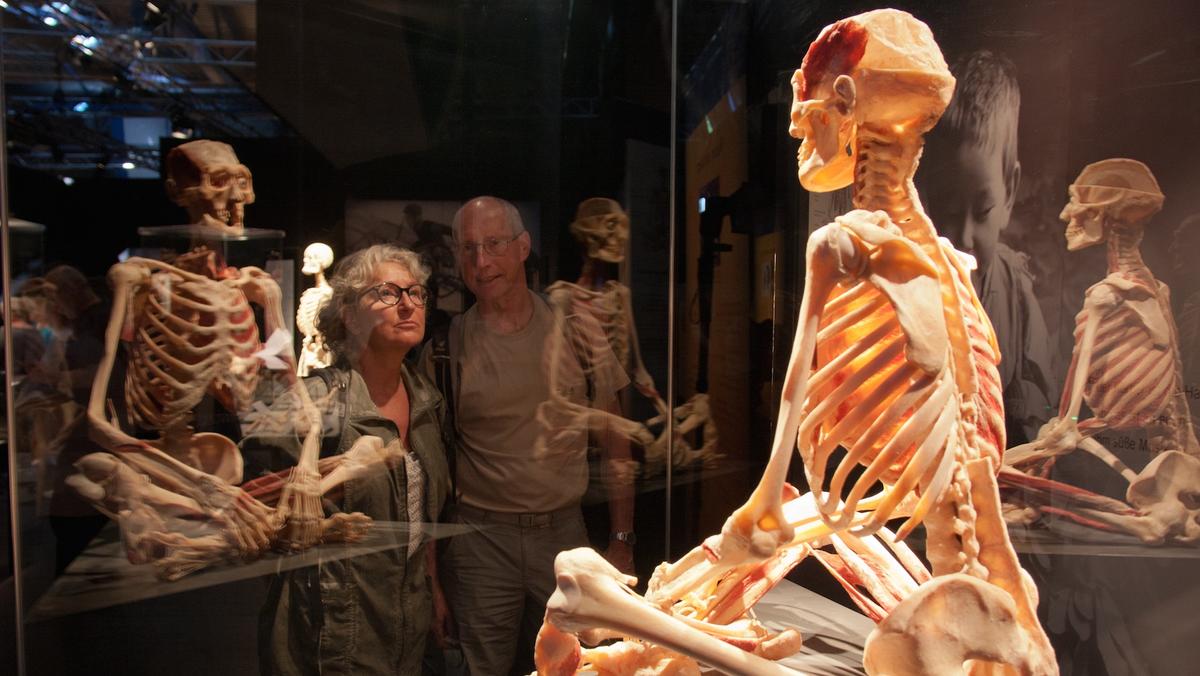 exposition Body Worlds Vital