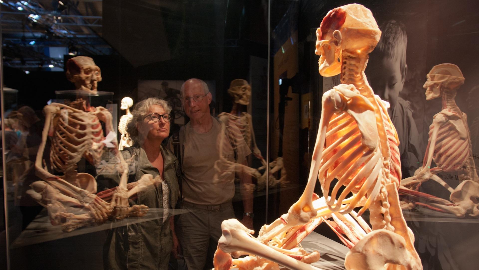 exposition Body Worlds Vital