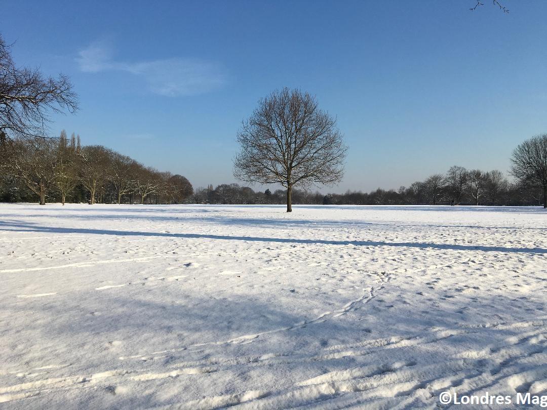 tempête de neige - park - beast from the east - emma - londres