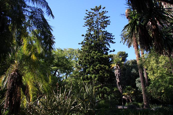 Jardin Botanique de Lisbonne 