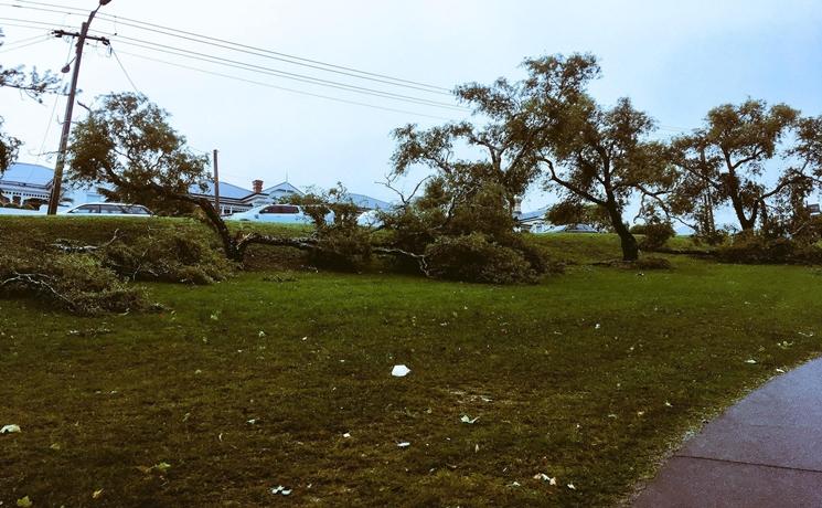 tempête Auckland