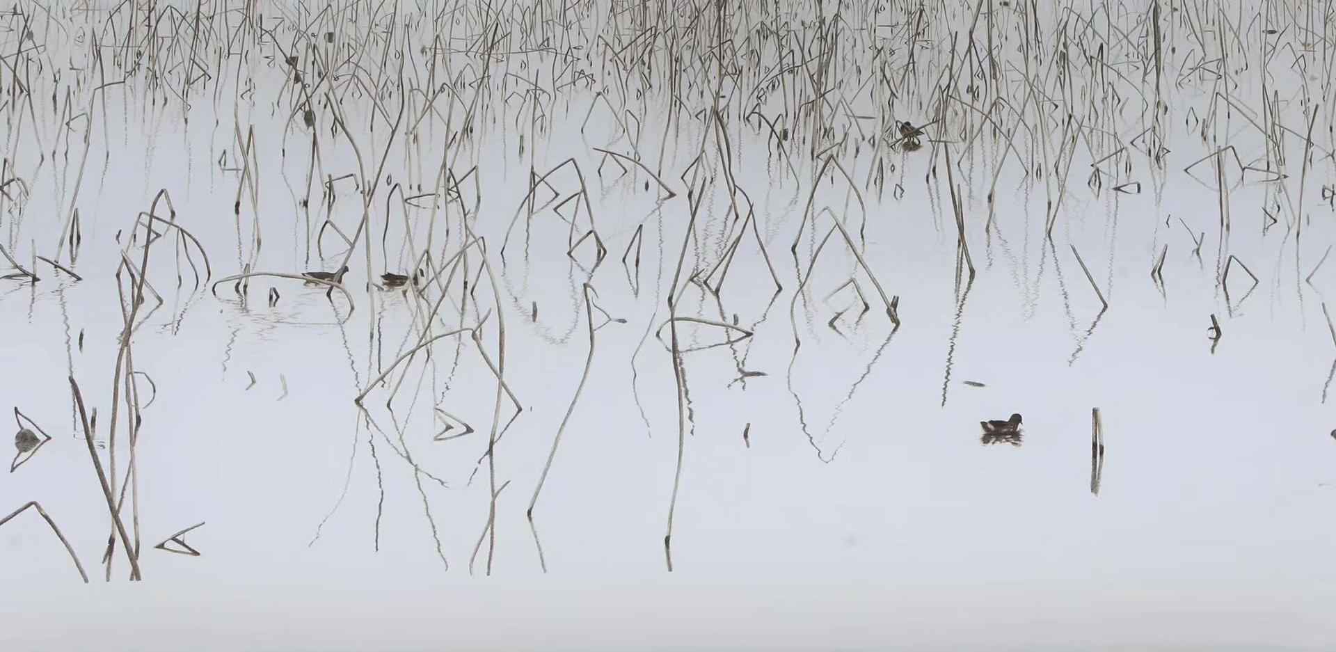 chine-broderie-art-liang-xuefang