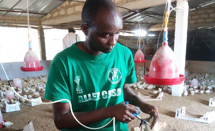 Un homme en colère : Papis Bakary Coly, Président de la FAAS