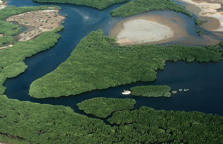 Lagune-Somone-Sénégal-Afrique