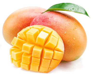 Mangue