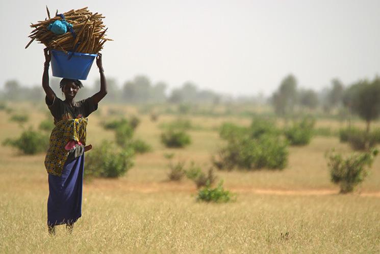 QUIZ - Connaissez-vous l'Afrique ?