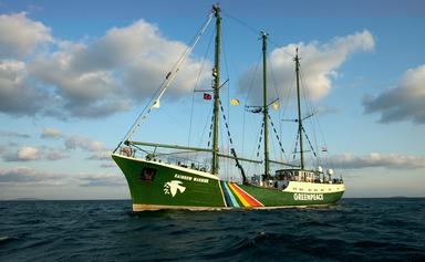 Rainbow Warrior 