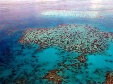 barrière corail Australie sauvegarde