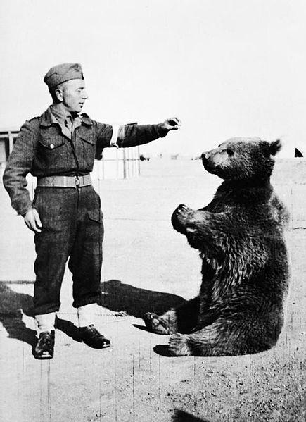 Wojtek, ours