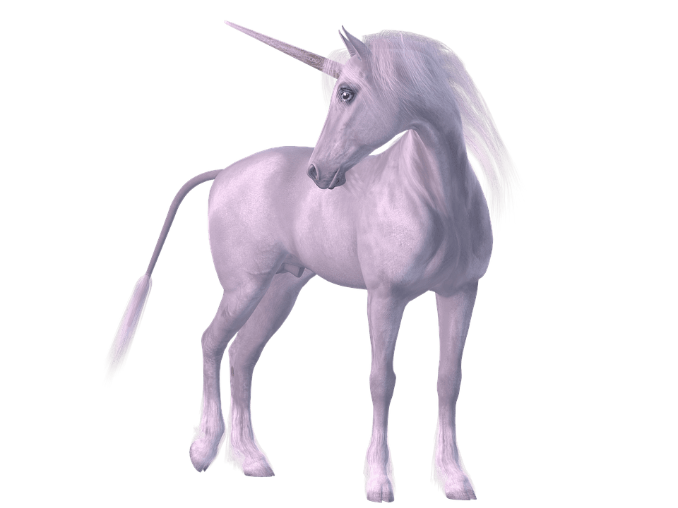 LICORNE