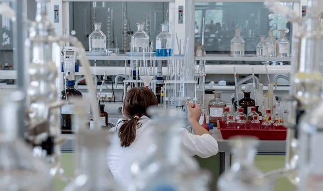 offre d'emploi lycée français madrid