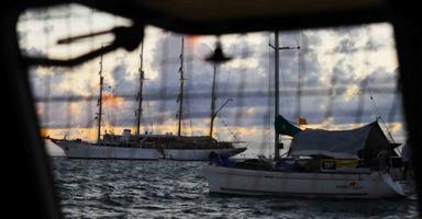 Antilles Guadeloupe leucémie CHU Guillaume Aubourg