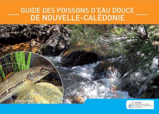 L’Observatoire de l’environnement en Nouvelle-Calédonie (OEIL) et l’antenne locale de l’Agence française pour la biodiversité (AFB) collaborent pour établir une méthode standard de suivi des poissons et crustacés d’eau douce sur le territoire.
