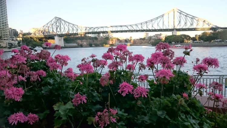 Une semaine francophone à Brisbane