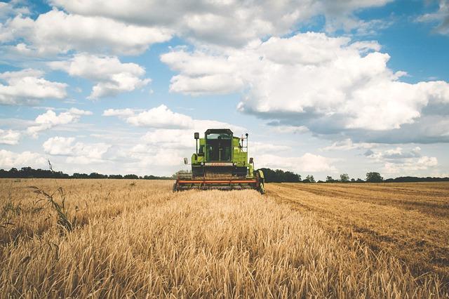 agriculture-1866896_640