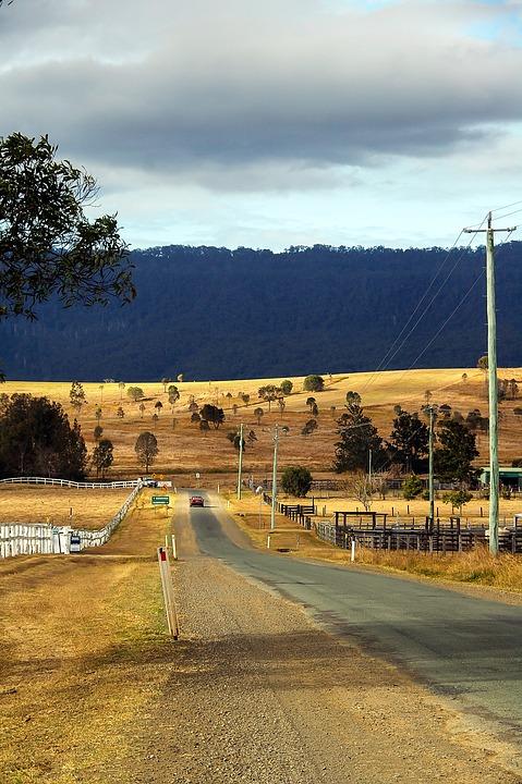 En Australie, une sécheresse d'une rare violence brûle les cultures australiennes, décime les troupeaux et plonge les agriculteurs dans de graves difficultés financières.