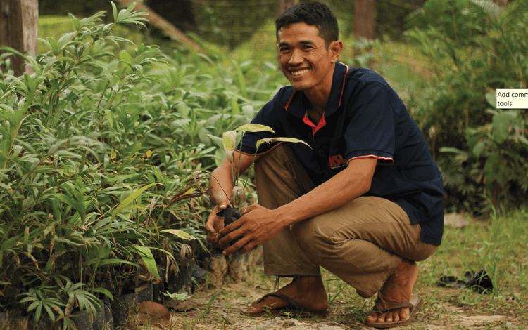 wwfcambodia