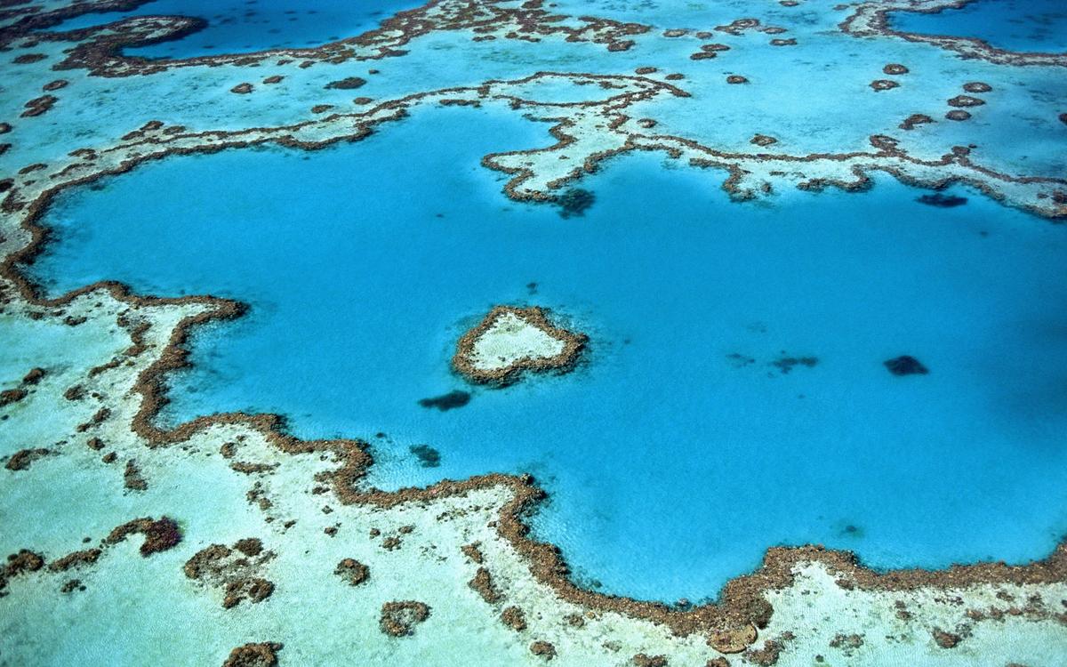 grande barrière de corail Australie robot étoile de mer robot environnement protection