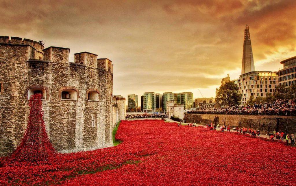 Exposition - Coquelicot - Mémorial