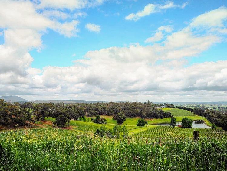 Novembre agenda melbourne vin italie mornington yarra valley cinéma festival