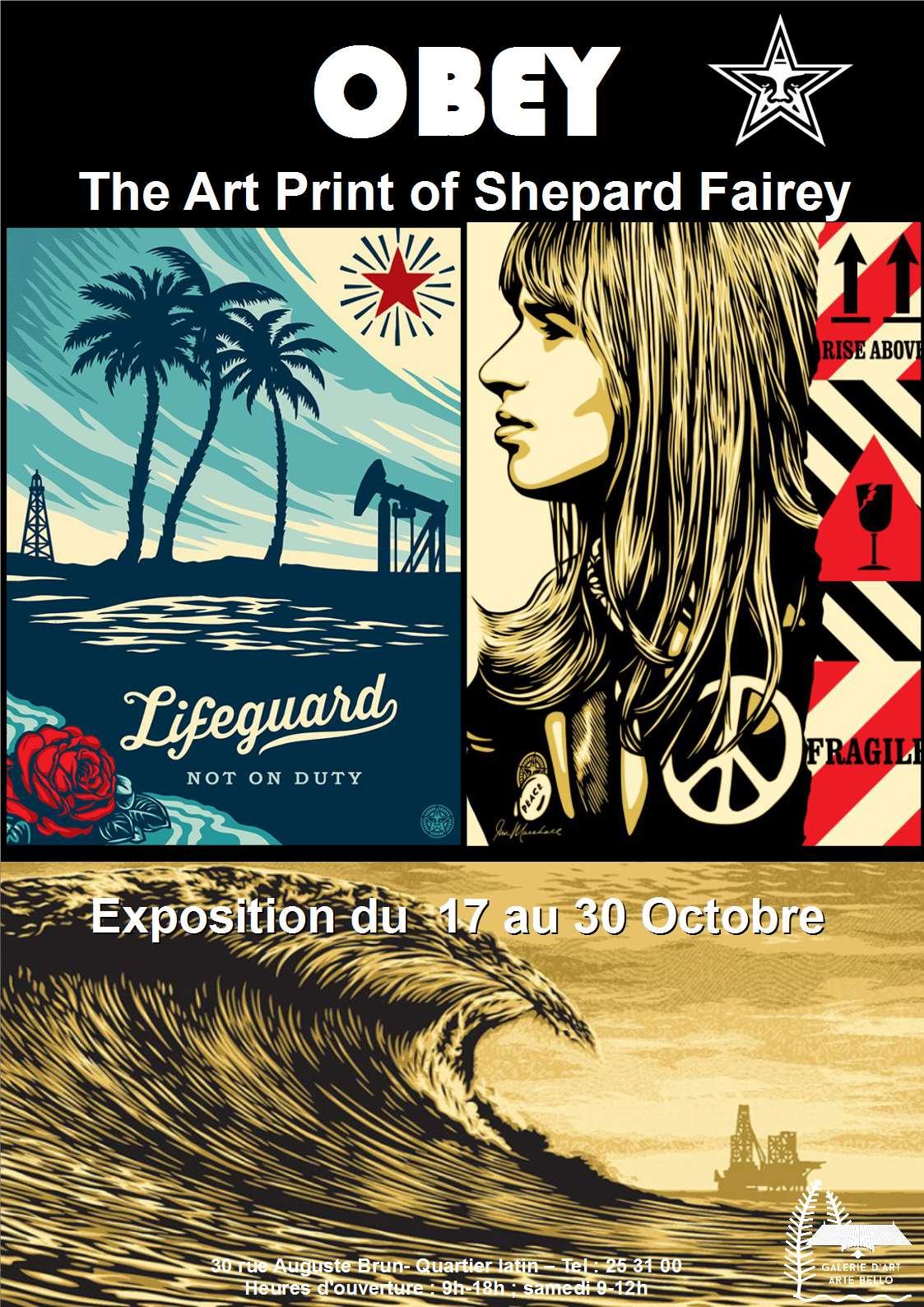 OBEY Shepard Fairey fresques murales