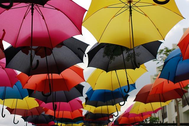 Mais où est donc passé le printemps ? En ce moment le temps n’est pas au beau fixe à Sydney…Le ciel est couvert de nuages grisâtres, les averses sont intempestives et les rues inondées. Mais croyez-le ou non, rien n’est perdu ! Il y a une multitude de choses à faire à Sydney, même en cas d’intempéries. Voici notre top 10 des activités à faire à Sydney en cas de pluie !