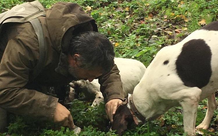 Tartufaio avec son chien