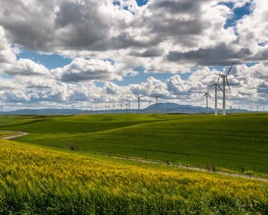 royaume uni energies renouvelables