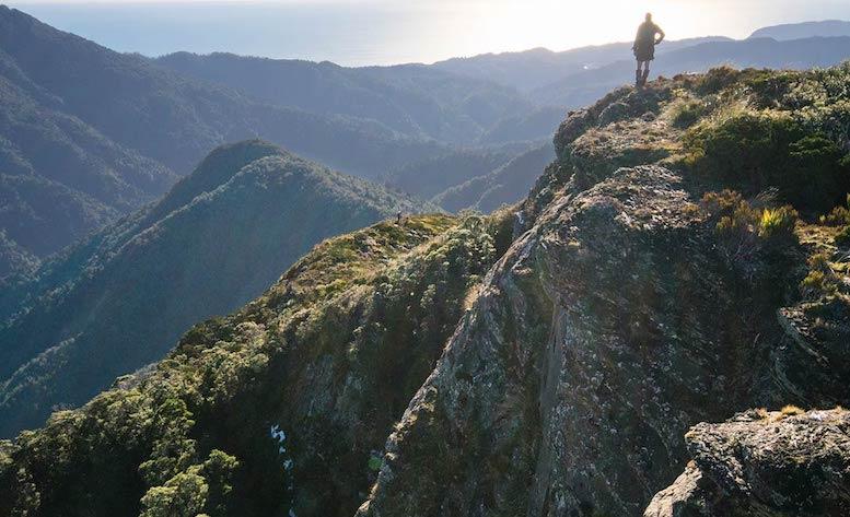 paparoa track 