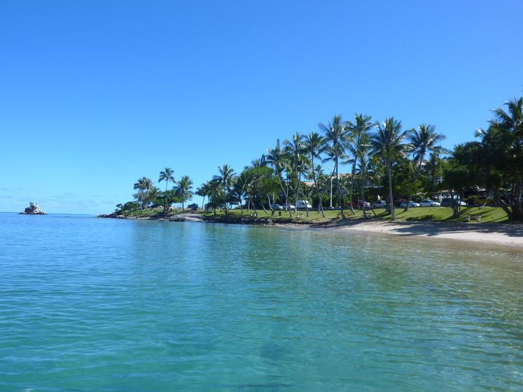 cocotiers anse vata Vanuatu CPS Nouvelle-Calédonie