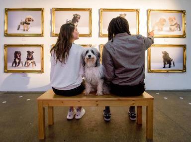 Shoreditch expo art pour les chiens galerie insolite Londres