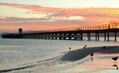 Petone beach and wharf Wellington Nouvelle-Zélande