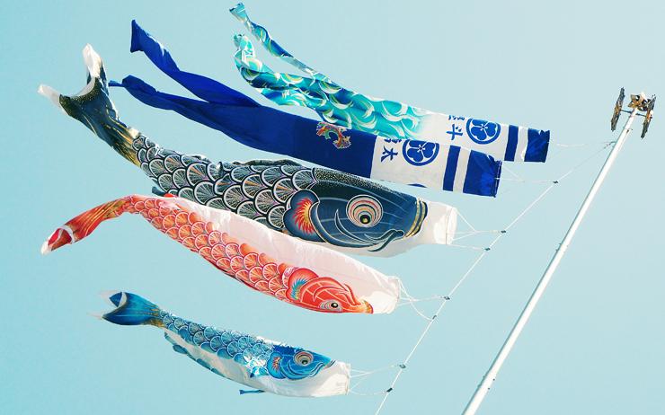 koinobori-kodomo-hi-japon