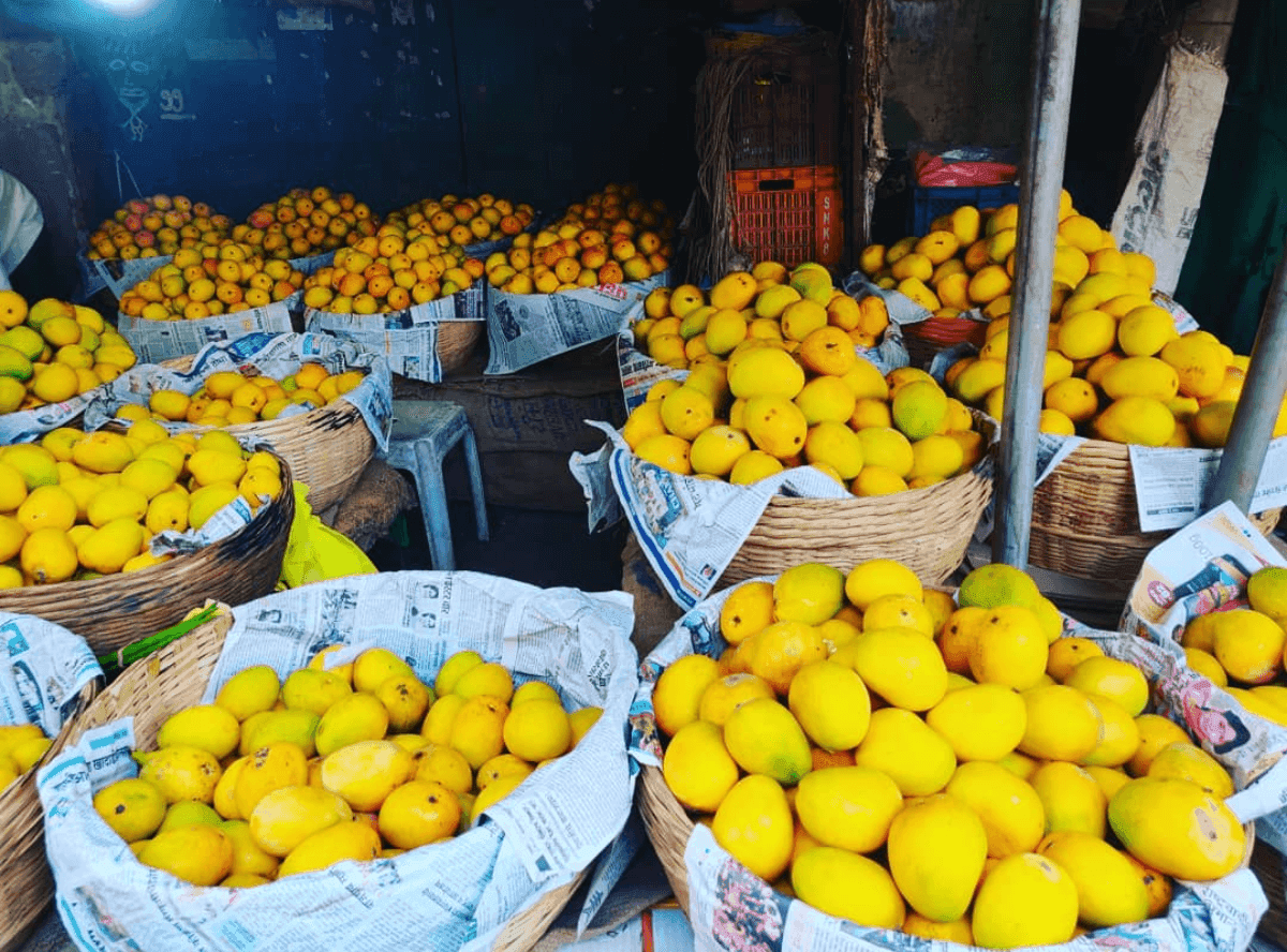 mangue histoire inde