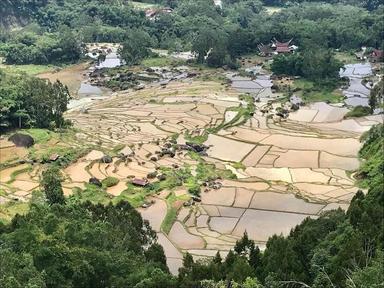 Toraja Sulawesi voyage indonésie