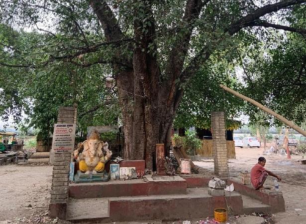 croyances hindoues arbre dieu