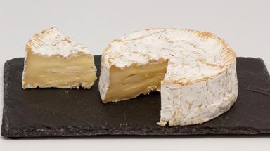 Camembert AOC USA