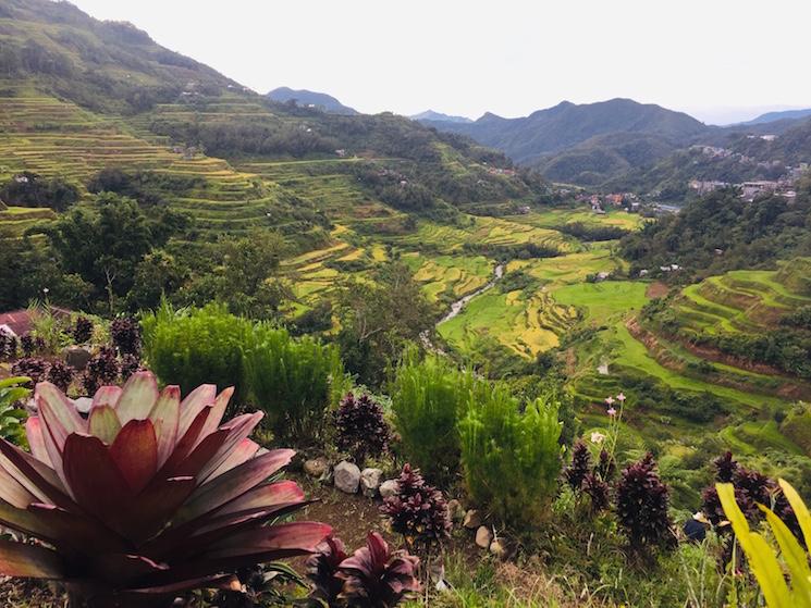 Banaue rizières Philippines